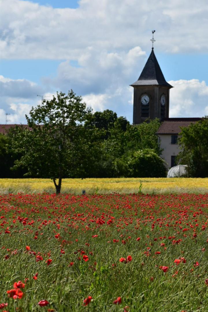 Bergerie Francique Appartement Lachaussee Buitenkant foto